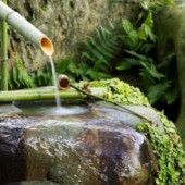 "Văn hoá ống tre" Shishi-odoshi